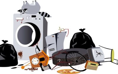 Junk Pickup vs. DIY Removal: Which is Right for You?
