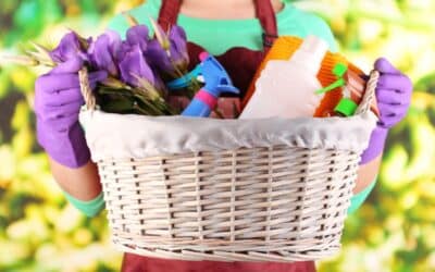 Why Spring Is a Great Time for Spring Cleaning
